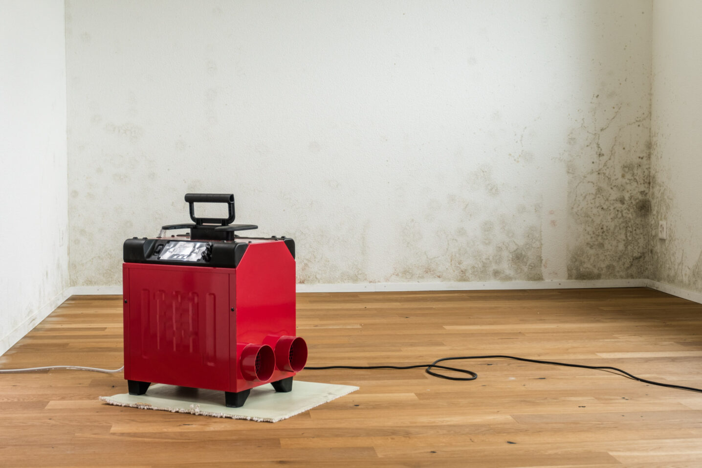 red dehumidifier in an empty apartment with a toxic mold and mildew problem