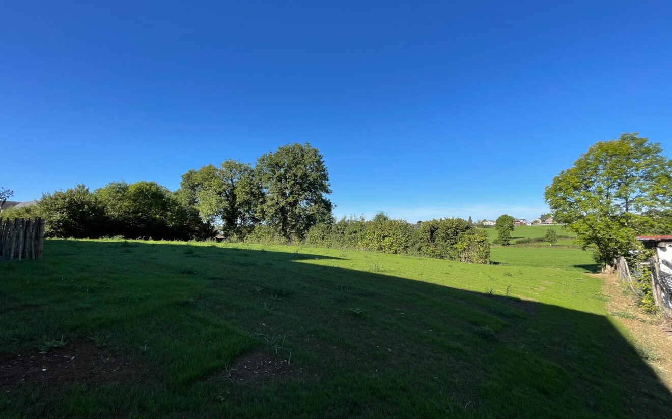 202406_immobilien-08